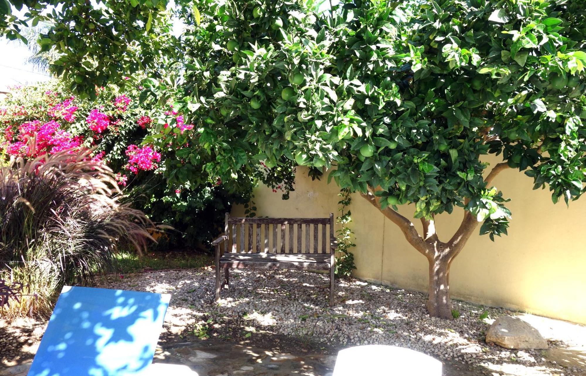 Casa Limon - Ferienhaus - Pool - Klimaanlage - W-Lan 치클라나 데 라 프론테라 외부 사진